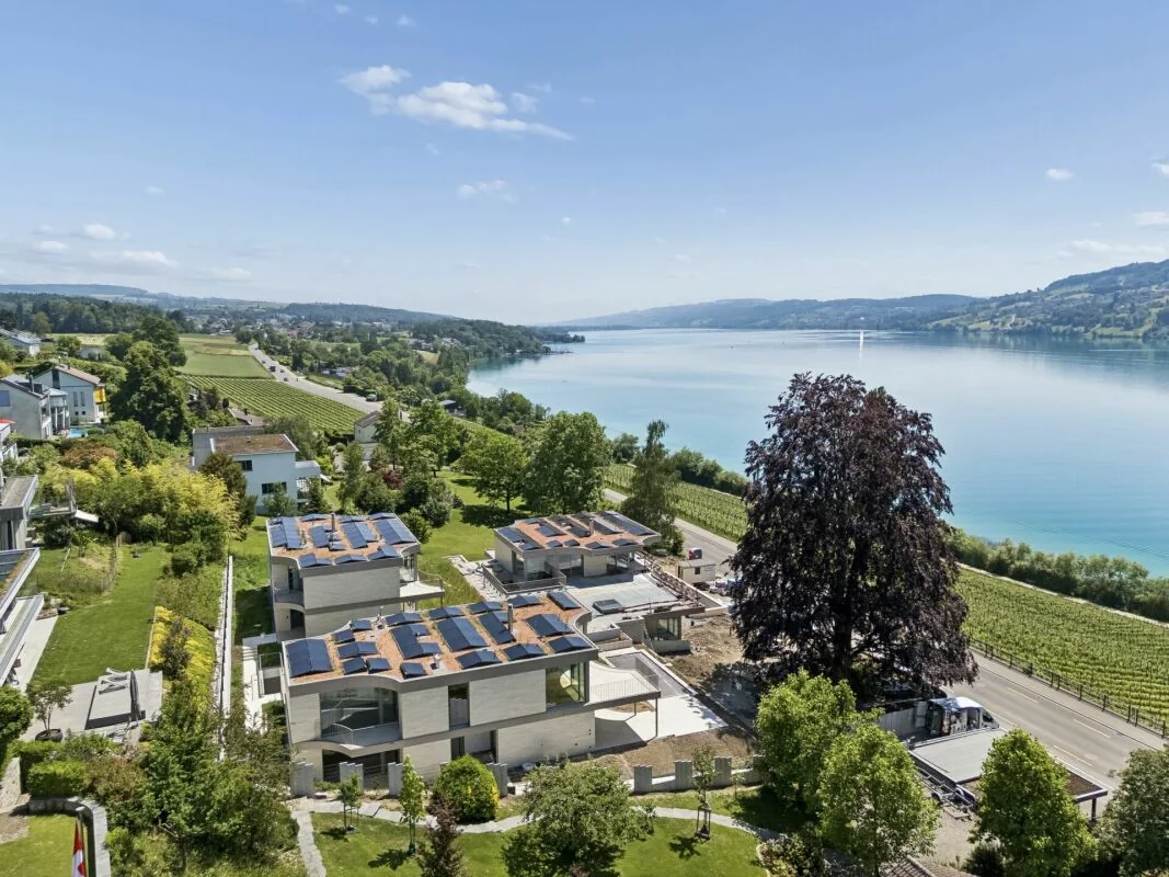 Die Wohnlage oberhalb des Hallwilersees